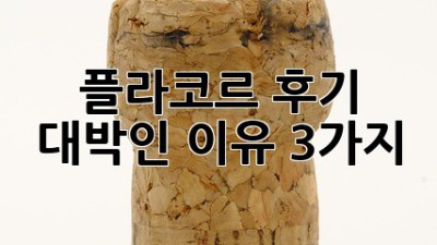 플라코르 후기: 대박인 이유 3가지!
