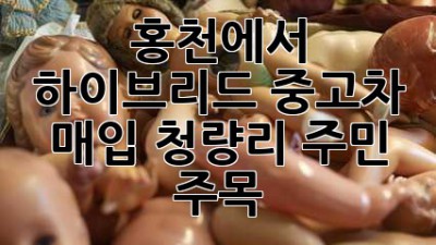 🚗 홍천에서 하이브리드 중고차 매입?! 청량리 주민 주목! 📢