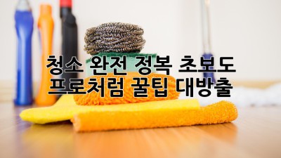 ✨청소 완전 정복✨: 초보도 프로처럼! 꿀팁 대방출🍯
